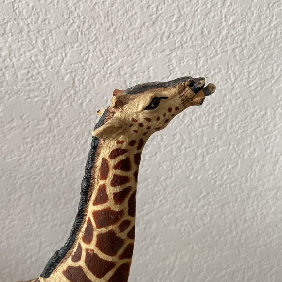 Home Decor - Picture 3 of 5